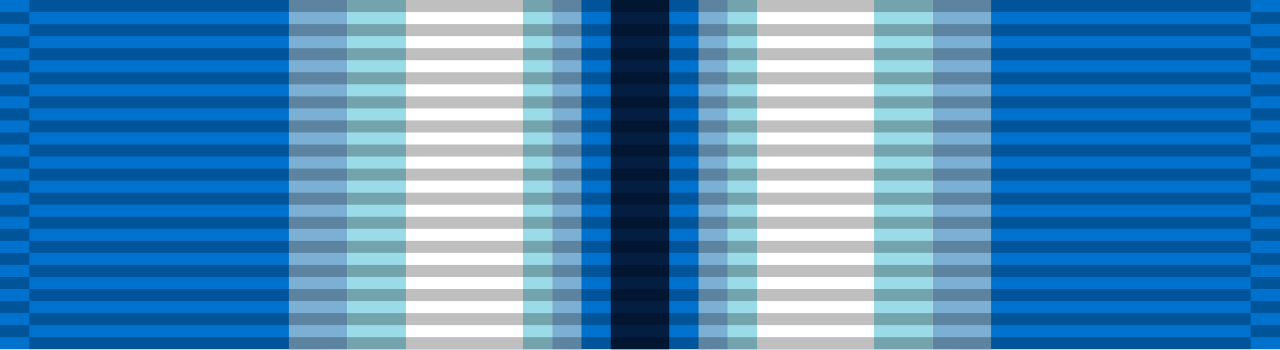 US Navy Service