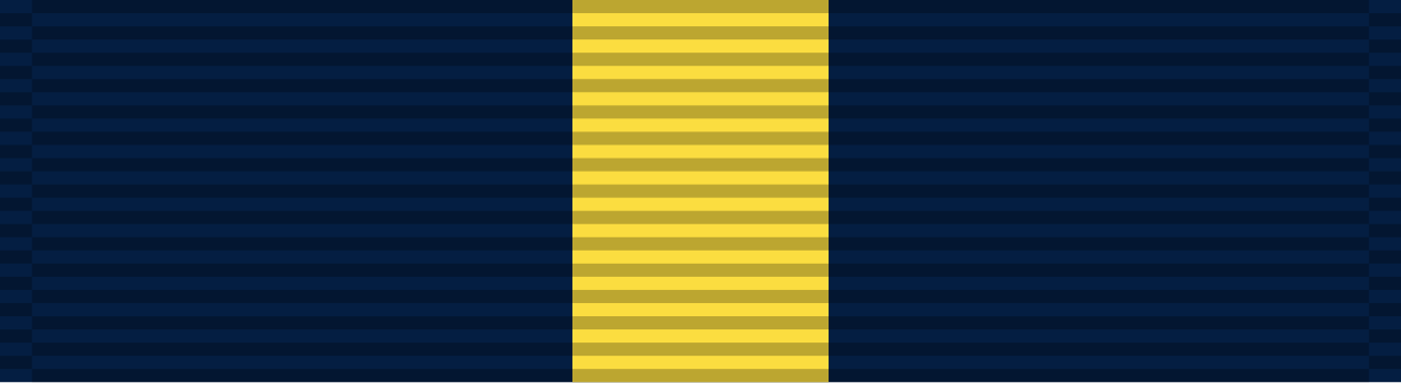US Navy Service